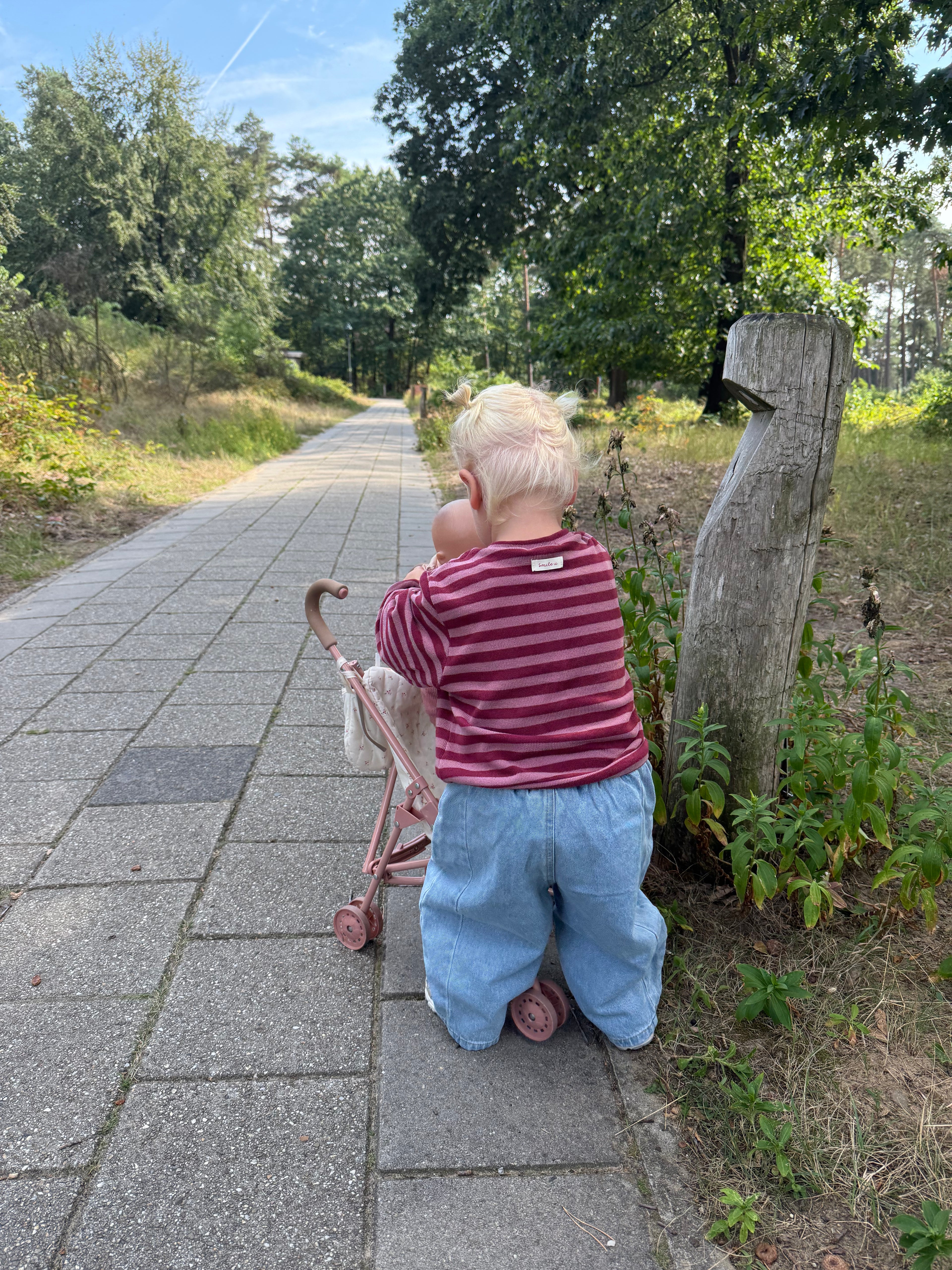 Berry cardigan