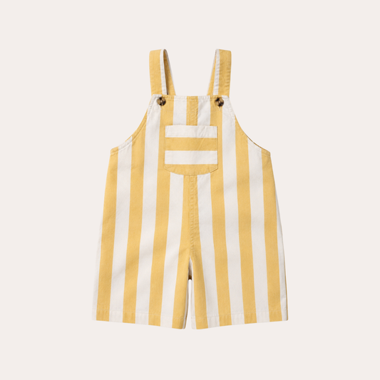 Sunny Stripe Overalls